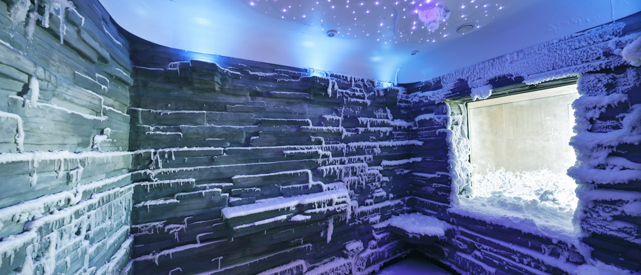 The Spa Snow Room