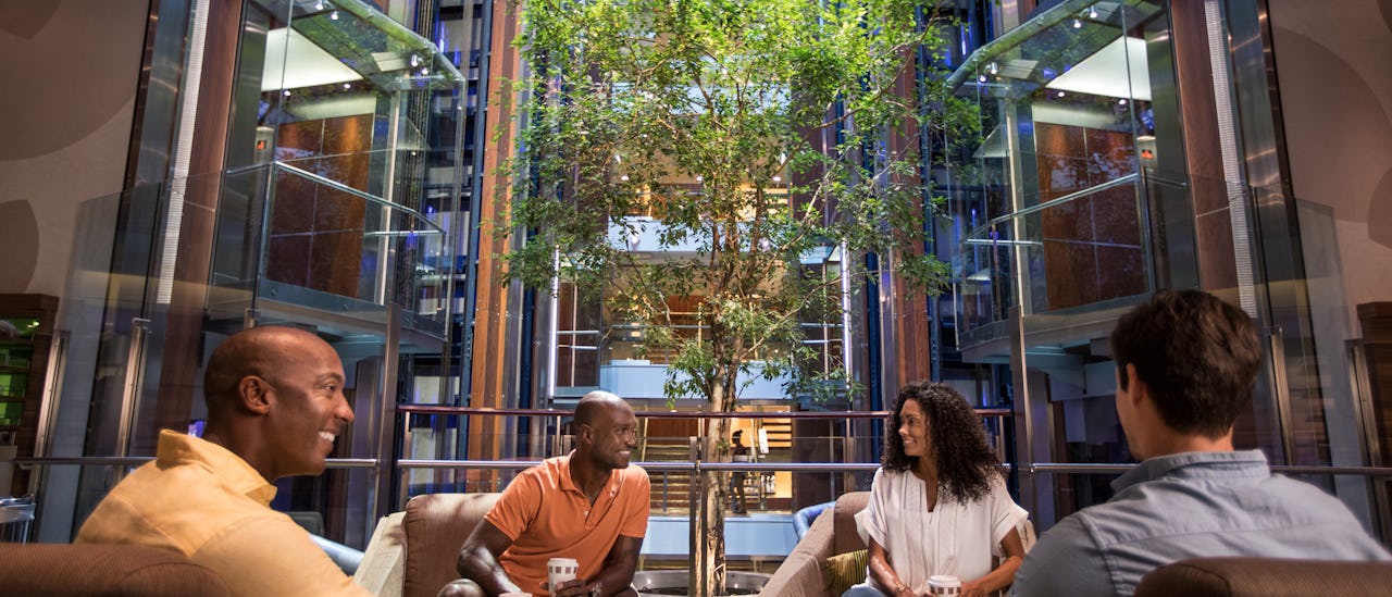 A view over the atrium with its“hanging” tree